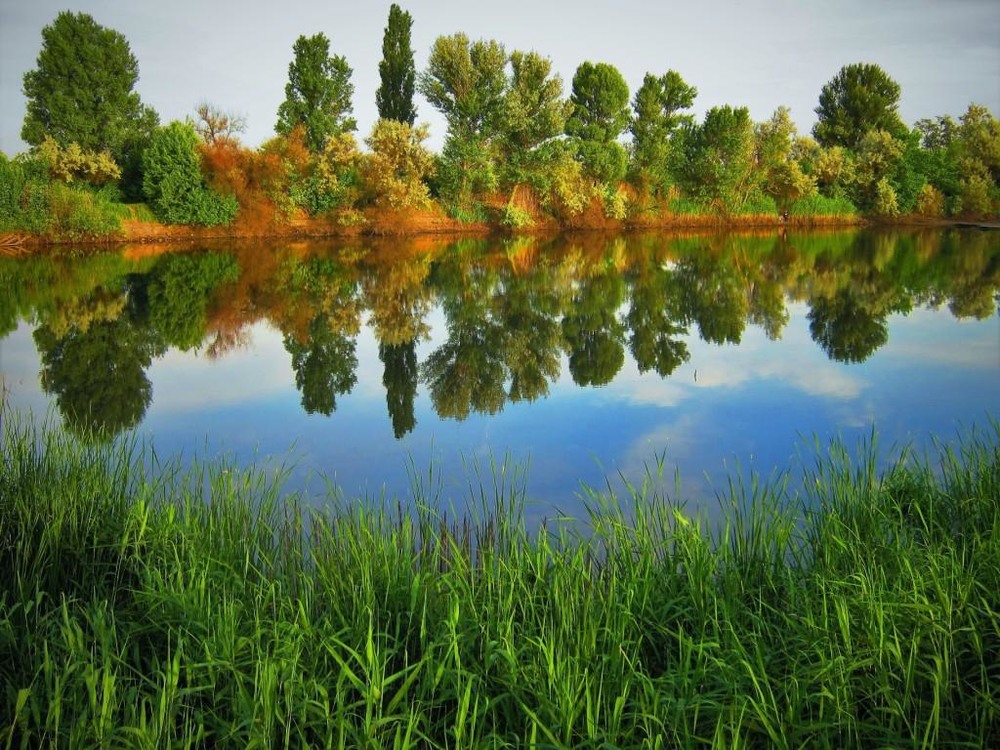 Фотографія Дорогая Осень, мы с тобой два берега у одной реки. / Владимир Подкуйко / photographers.ua