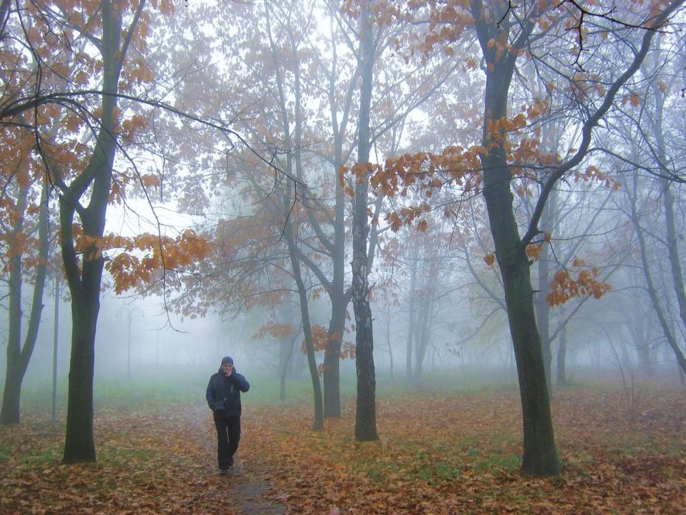 Фотографія Утром парк накрыл туман вездесущий. / Владимир Подкуйко / photographers.ua