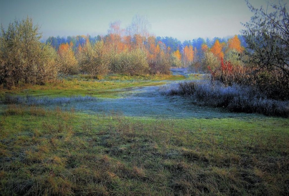 Фотографія Осень голубою изморозью приукрасилась. / Владимир Подкуйко / photographers.ua