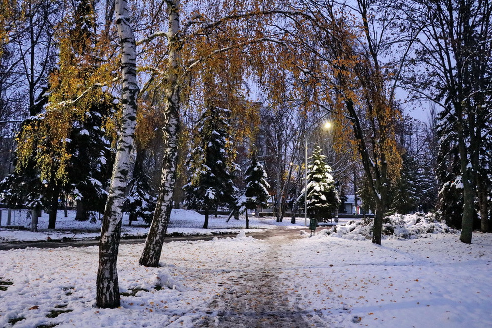 Фотографія Первый снег, он самый лучший! / Владимир Подкуйко / photographers.ua