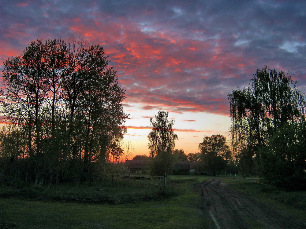 Фотографія Вечерние облака. / Владимир Подкуйко / photographers.ua