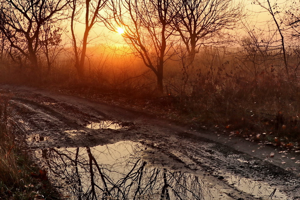 Фотографія Вечерний туман после дождяI. / Владимир Подкуйко / photographers.ua
