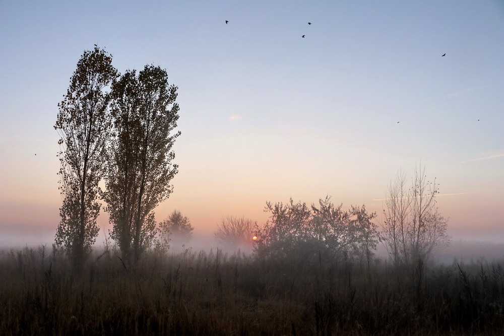 Фотографія Вечерний туман, после дождяV. / Владимир Подкуйко / photographers.ua