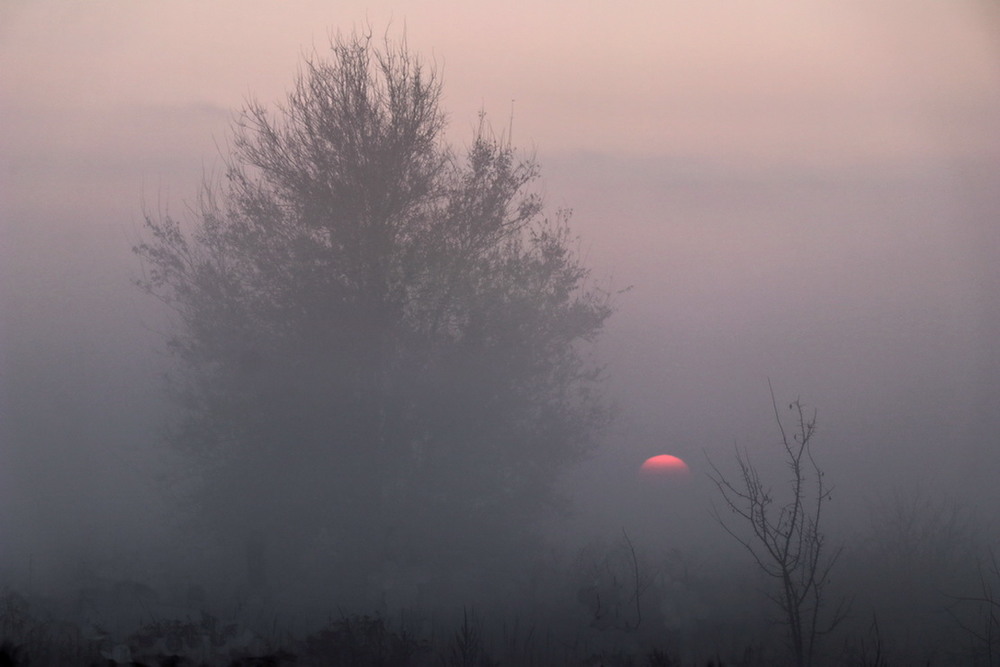 Фотографія Солнце на закате. / Владимир Подкуйко / photographers.ua