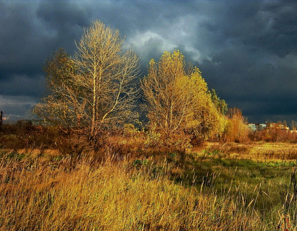 Фотографія Пробудилась, разгулялась синяя непогода. / Владимир Подкуйко / photographers.ua