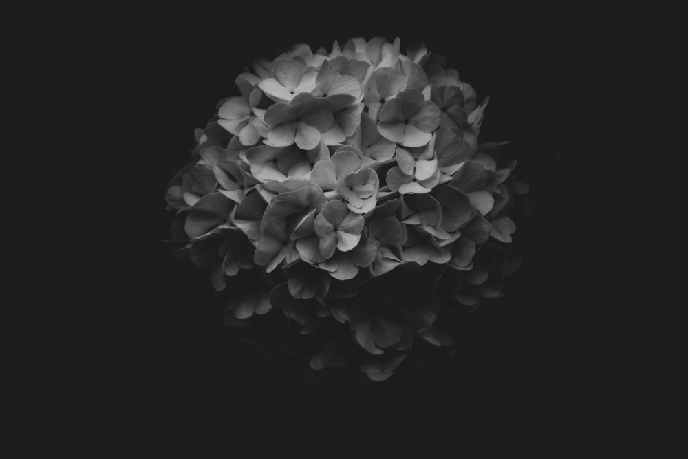 Фотографія Біле та Чорне / Roman Brylynskyi / photographers.ua