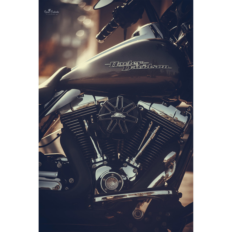 Фотографія Harley-Davidson / Roman Brylynskyi / photographers.ua