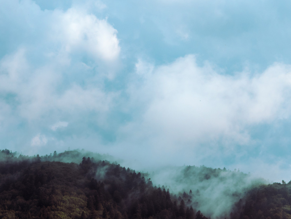 Фотографія Карпати після дощу... / Roman Brylynskyi / photographers.ua