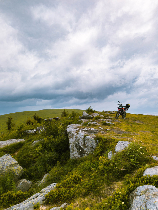 Фотографія Полонина Руна / Roman Brylynskyi / photographers.ua