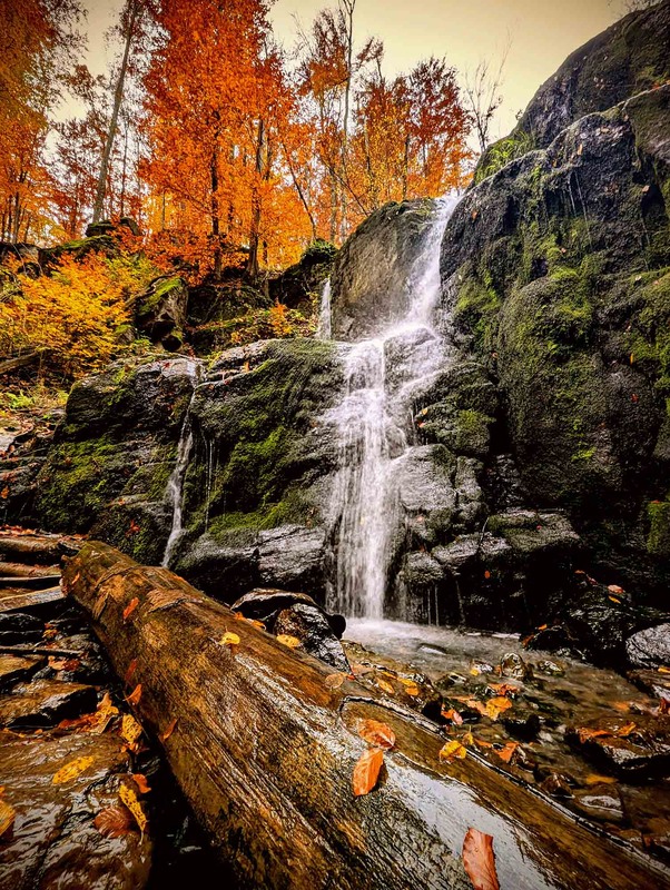 Фотографія Осінь / Roman Brylynskyi / photographers.ua