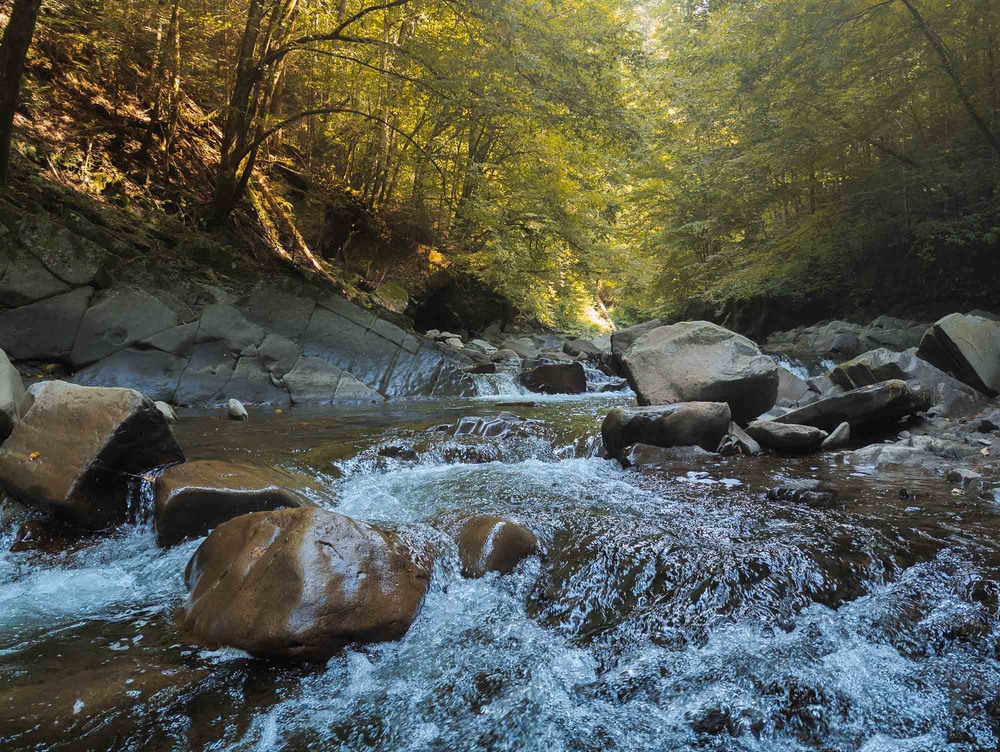 Фотографія Гірська Річка / Roman Brylynskyi / photographers.ua
