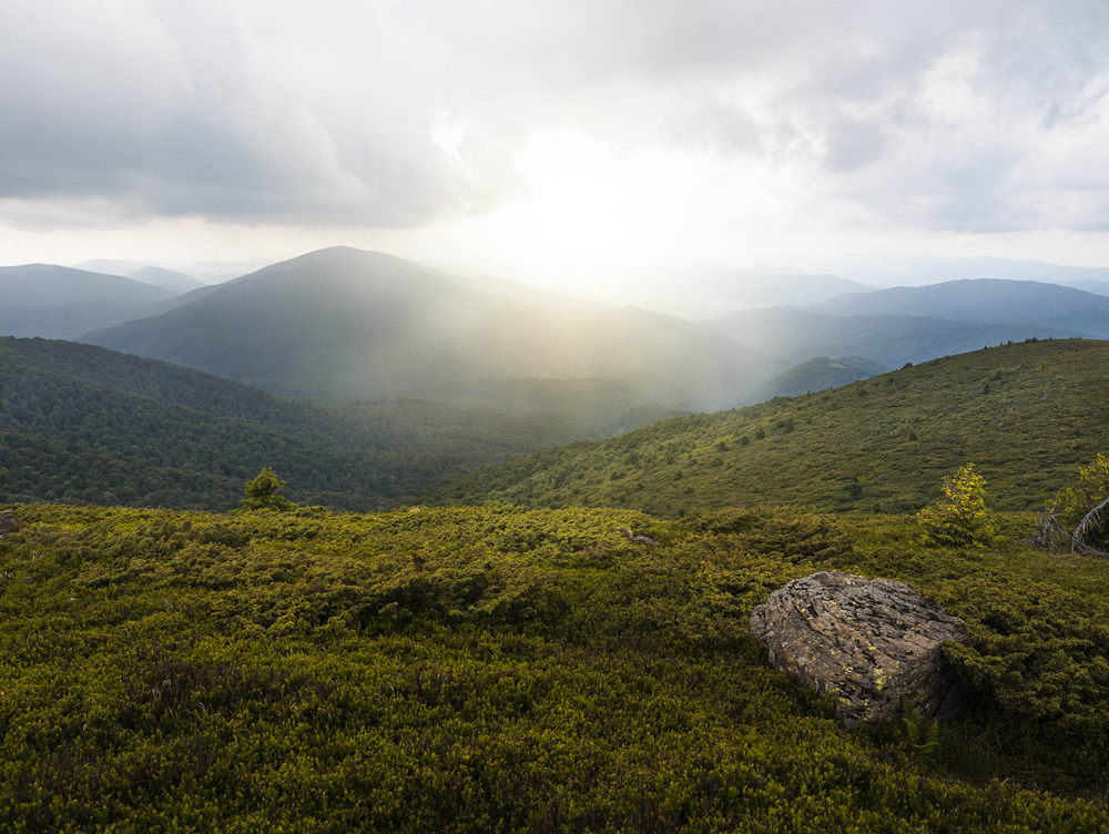 Фотографія Полонина Руна / Roman Brylynskyi / photographers.ua