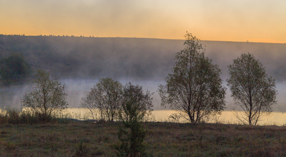 Фотографія Туман на світанку / Андрій Косенко / photographers.ua
