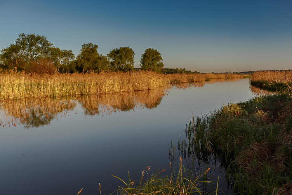 Фотографія У водички. / Андрій Косенко / photographers.ua