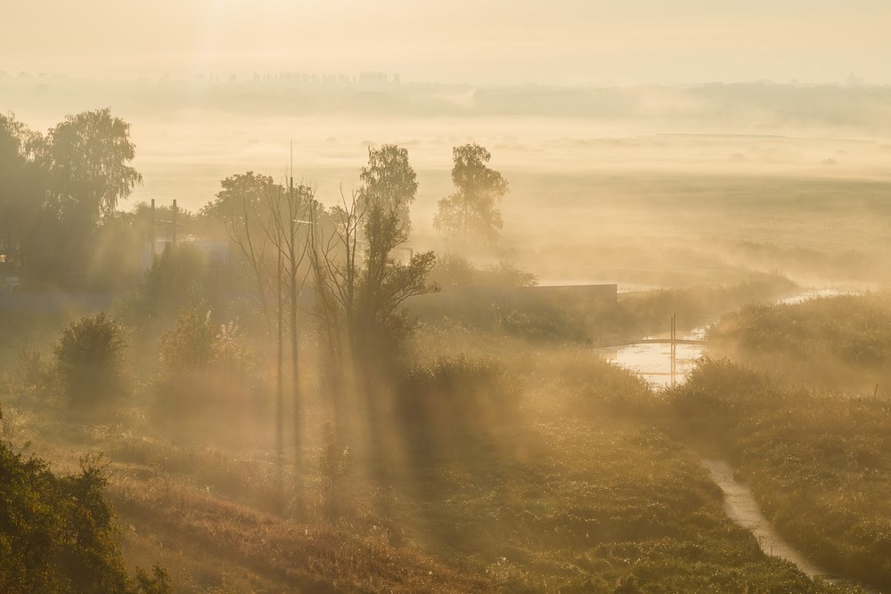 Фотографія У ранковому тумані / Андрій Косенко / photographers.ua