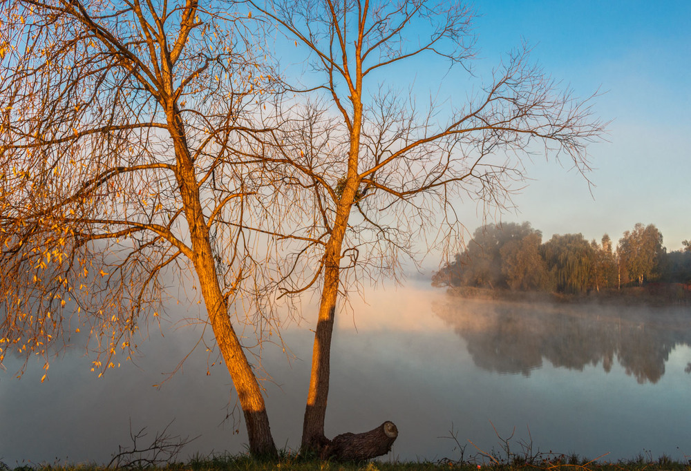 Фотографія Світанок на озері. / Андрій Косенко / photographers.ua