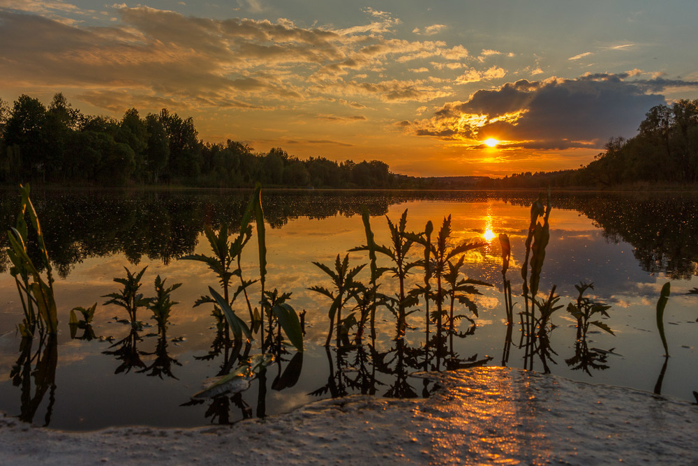 Фотографія Захід сонця по українськи. / Андрій Косенко / photographers.ua