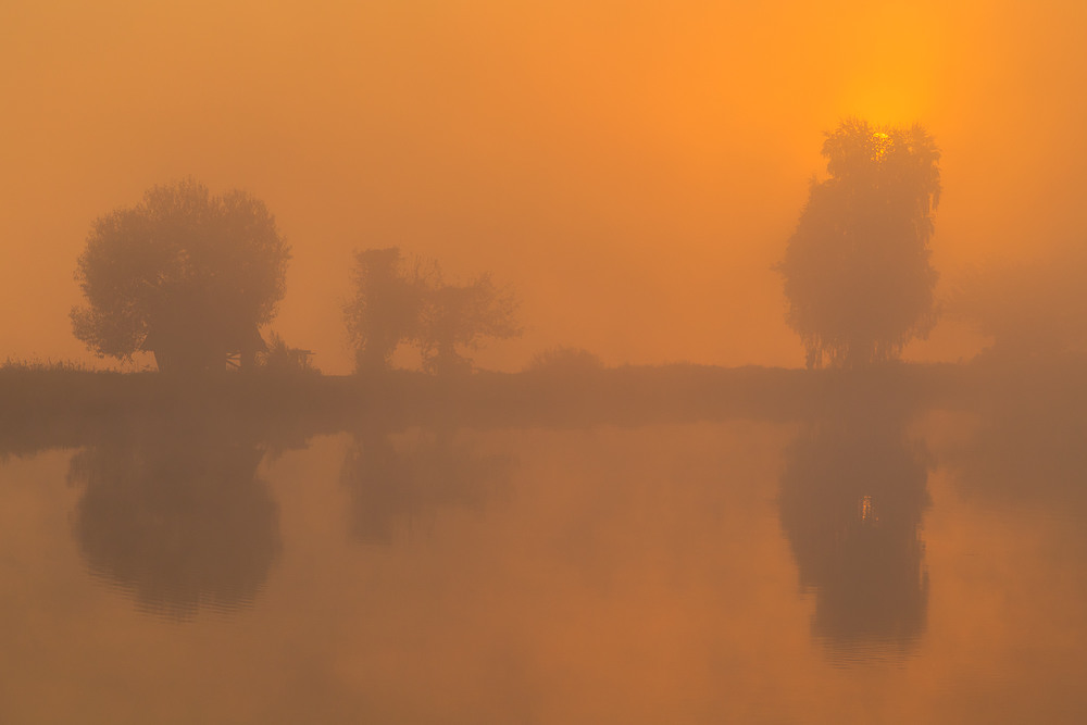 Фотографія Загубилось сонце, у густому тумані / Андрій Косенко / photographers.ua