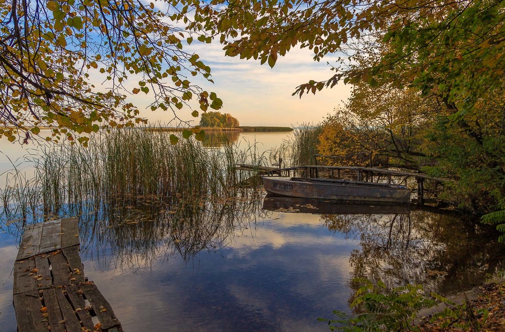 Фотографія Осінь на Дніпрі / Андрій Косенко / photographers.ua