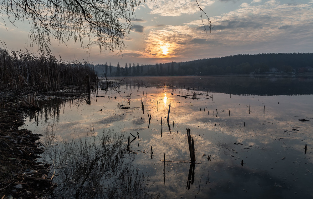 Фотографія Ранком на озері / Андрій Косенко / photographers.ua