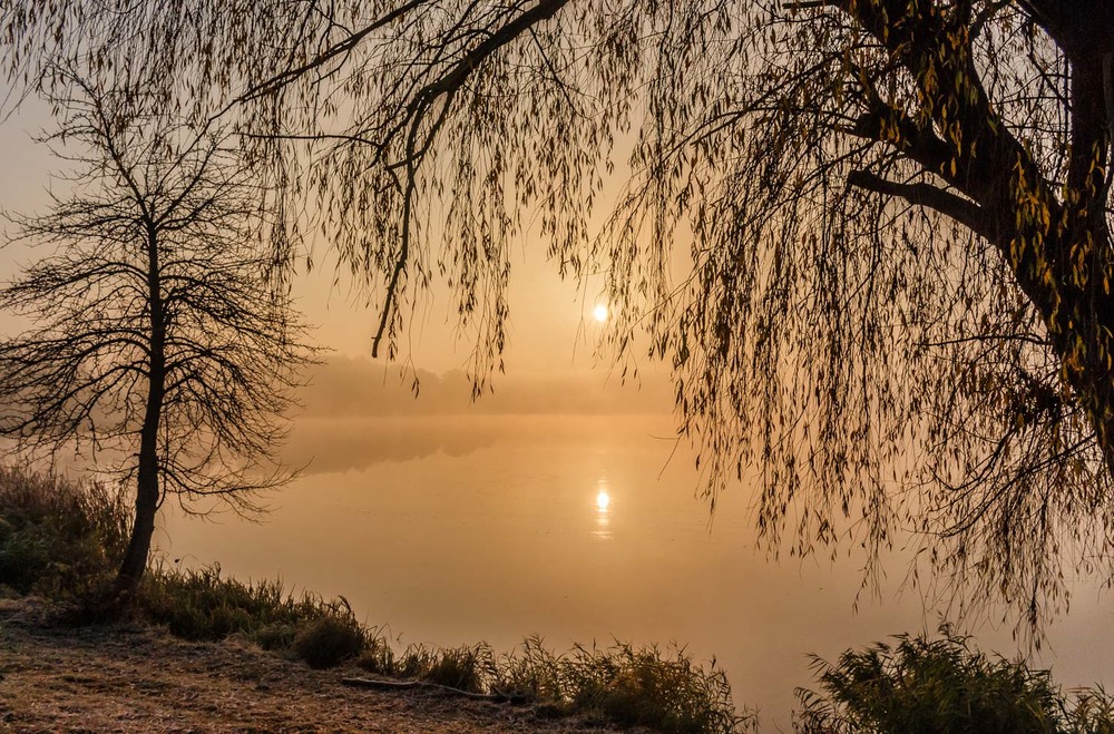 Фотографія Ранок на озері. / Андрій Косенко / photographers.ua
