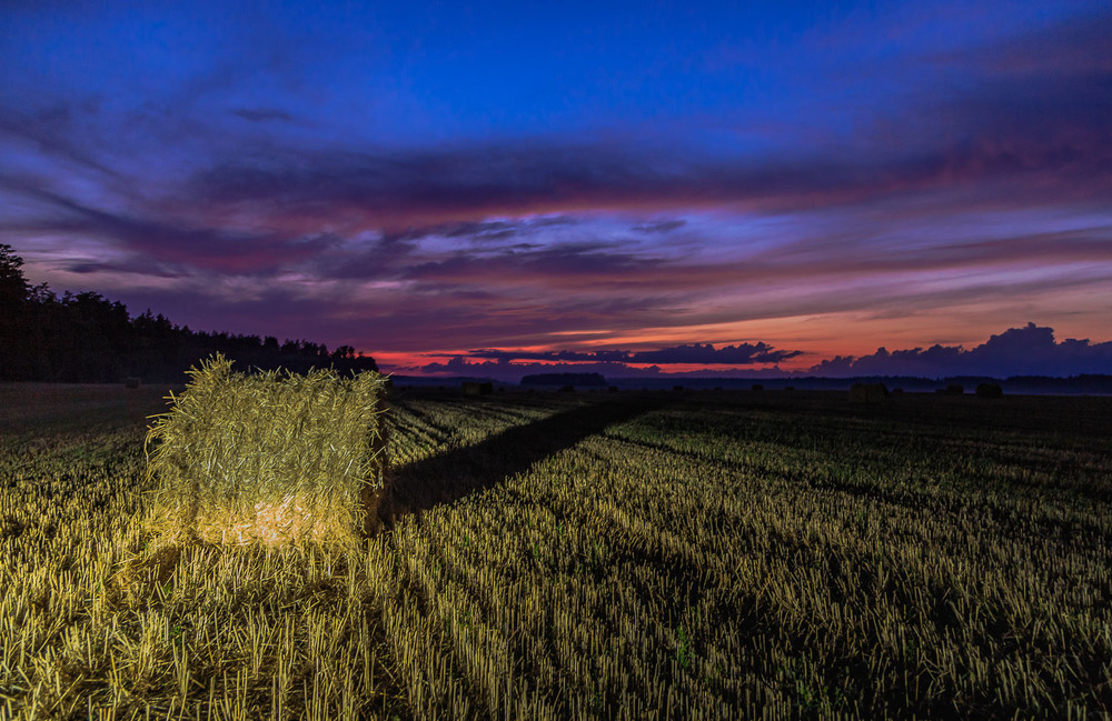 Фотографія Захід сонця у полі / Андрій Косенко / photographers.ua