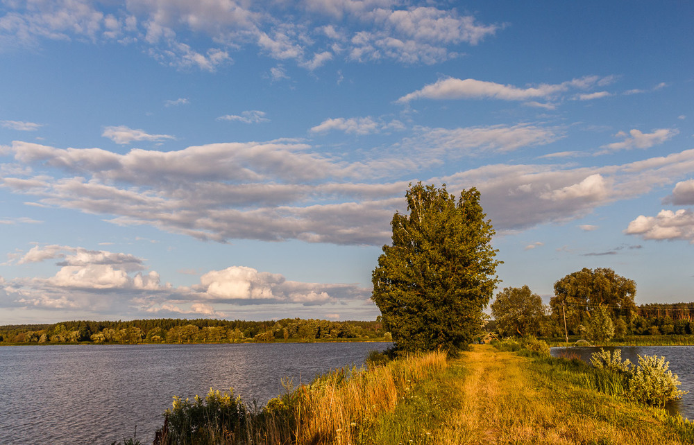 Фотографія Вечірня прогулянка. / Андрій Косенко / photographers.ua