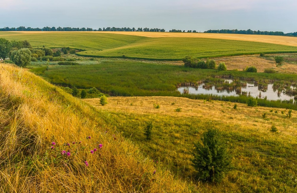 Фотографія Українськими полями / Андрій Косенко / photographers.ua