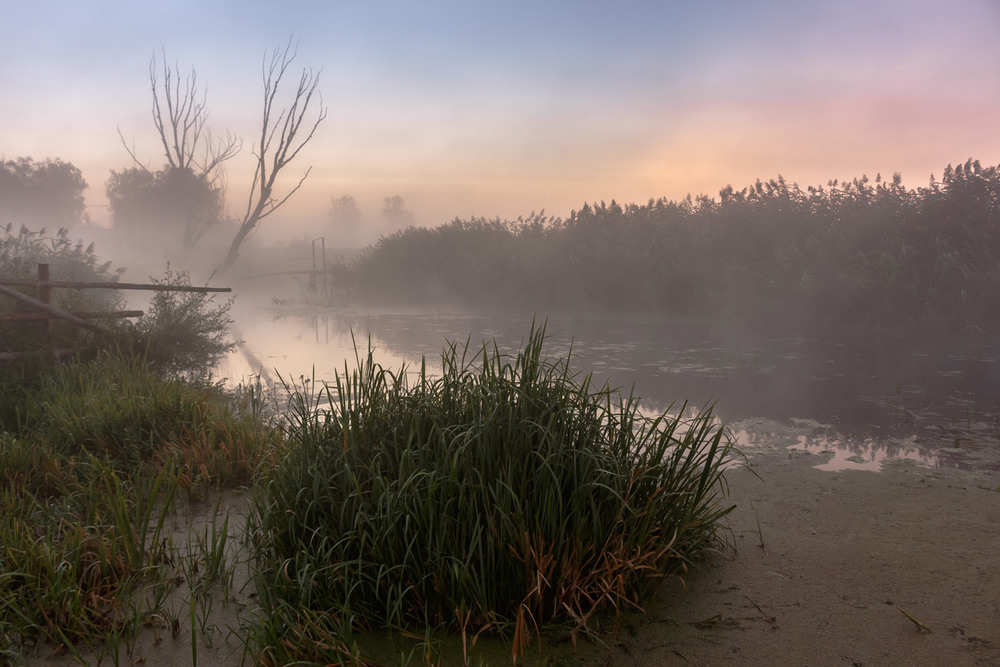 Фотографія Туманно на річці. / Андрій Косенко / photographers.ua