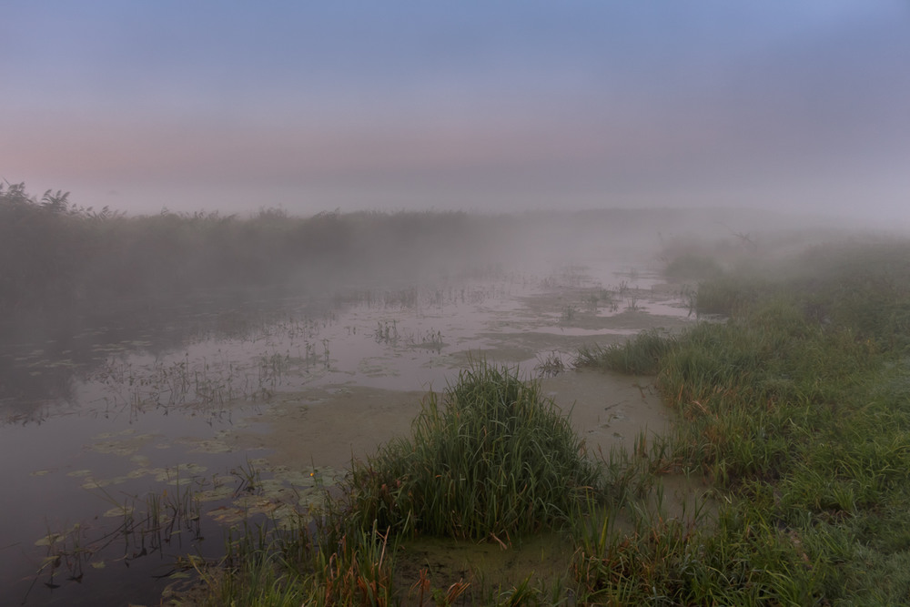 Фотографія Туманно трохи на річці. / Андрій Косенко / photographers.ua