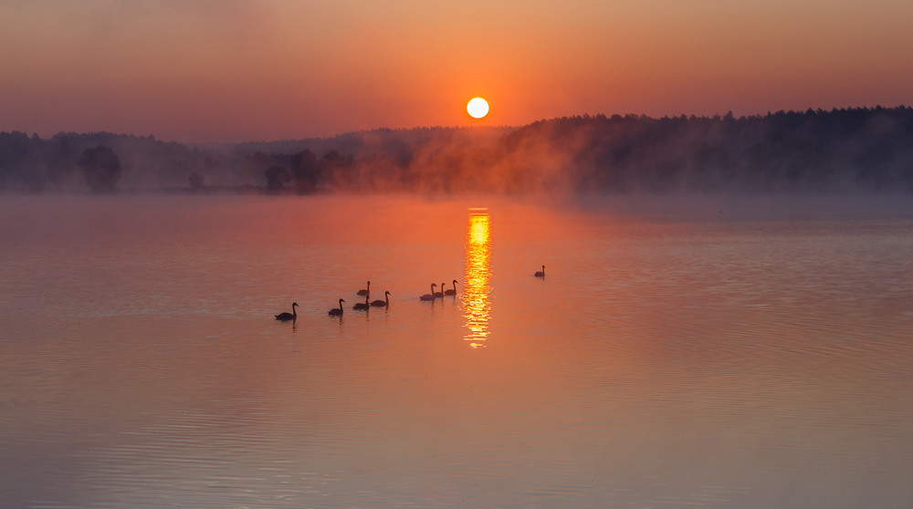 Фотографія Ранковий променад 3 / Андрій Косенко / photographers.ua