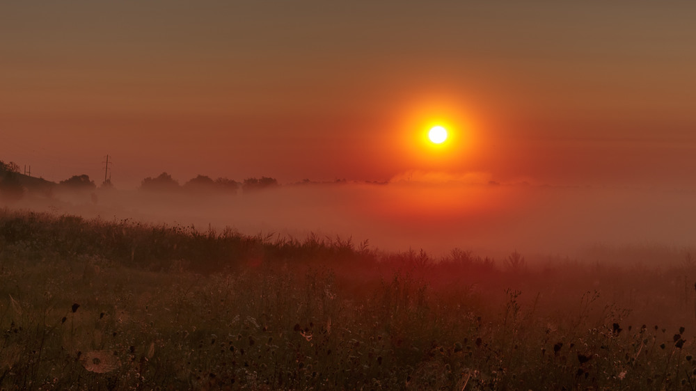 Фотографія Туман на світанку -2 / Андрій Косенко / photographers.ua