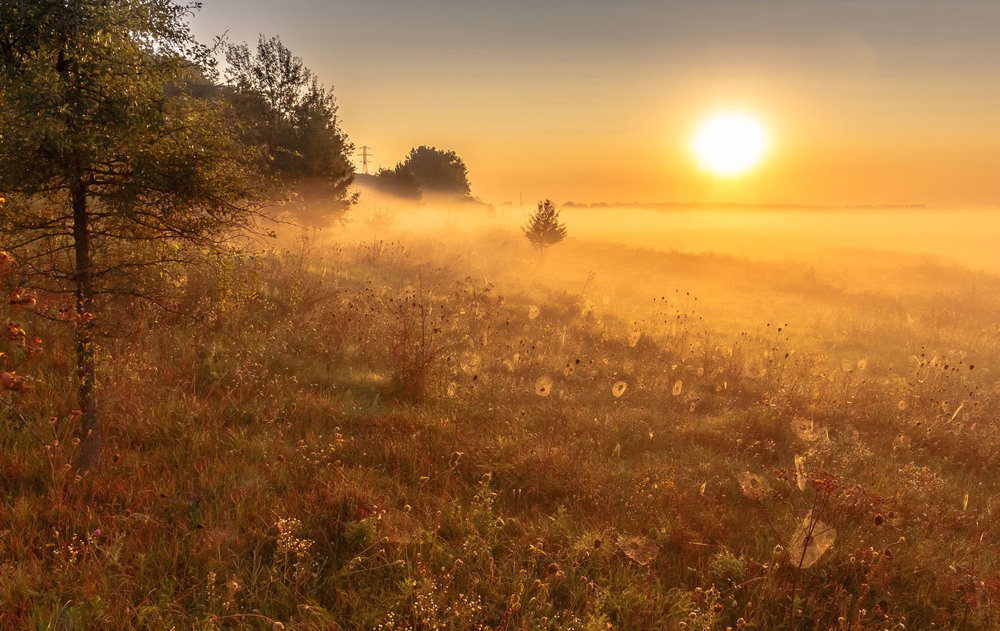 Фотографія Туман на світанку / Андрій Косенко / photographers.ua