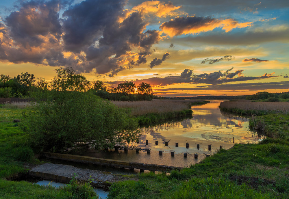 Фотографія Золотий вечір / Андрій Косенко / photographers.ua