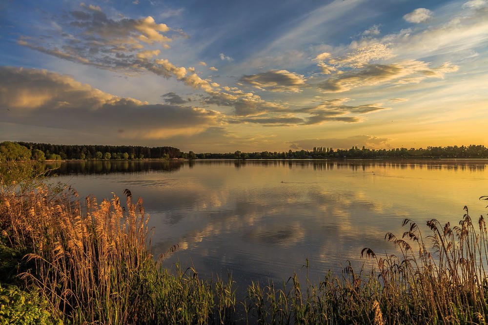 Фотографія Увечері на озері / Андрій Косенко / photographers.ua