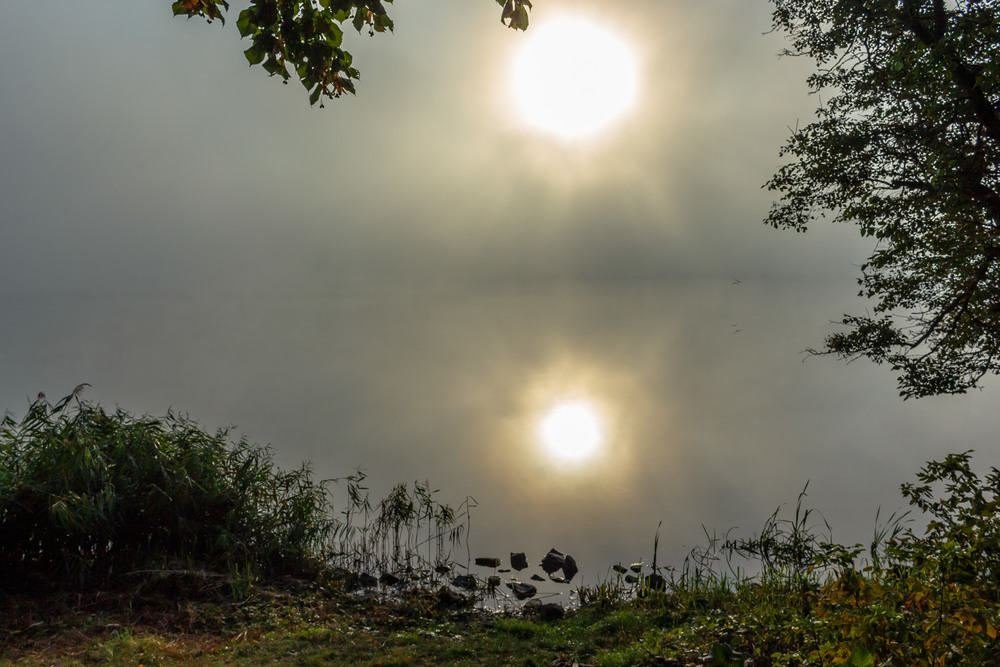 Фотографія Ранковий туман на озері. / Андрій Косенко / photographers.ua