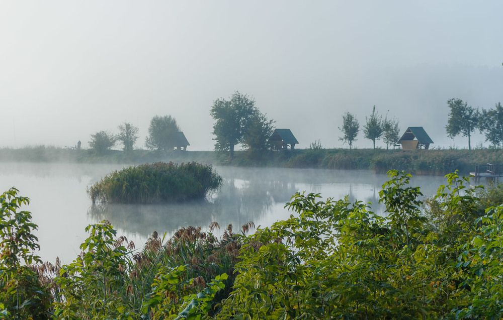 Фотографія Одного ранку на озері. / Андрій Косенко / photographers.ua