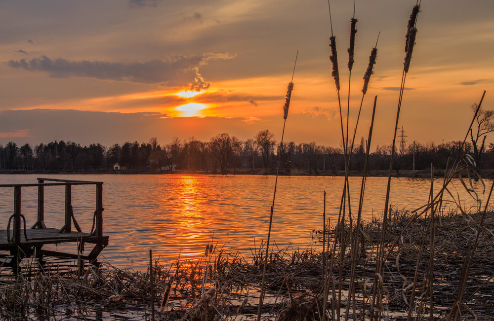 Фотографія На закате дня. / Андрій Косенко / photographers.ua
