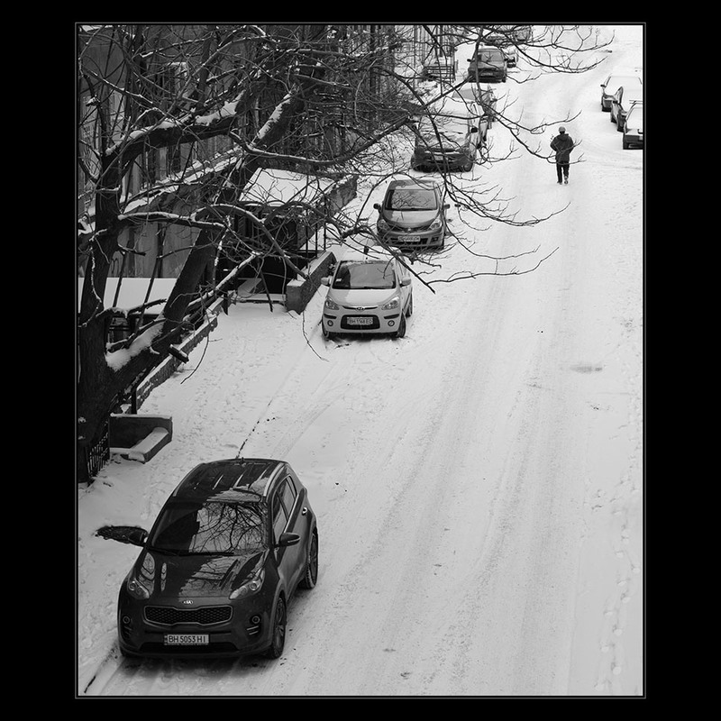 Фотографія Первый снег.. / Дмитрий Домбровский / photographers.ua