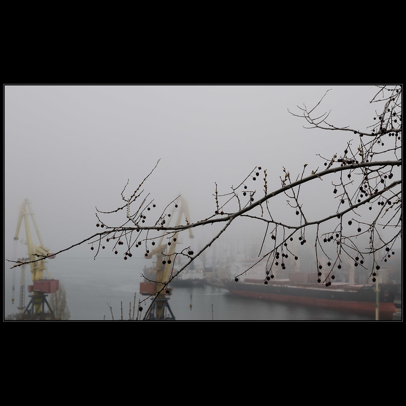 Фотографія Туманная одесская весна.. / Дмитрий Домбровский / photographers.ua
