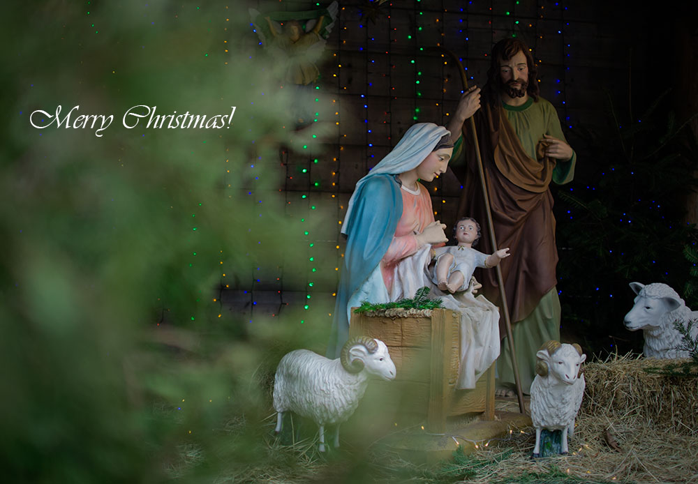 Фотографія Merry Christmas!.. / Дмитрий Домбровский / photographers.ua