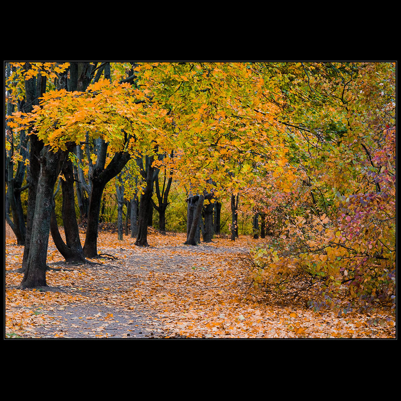 Фотографія Осенняя.. / Дмитрий Домбровский / photographers.ua