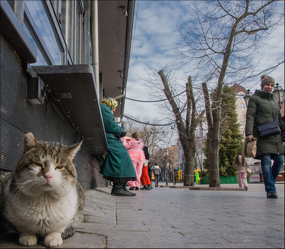 Фотографія Some 'street' in Beggar Street) / Дмитрий Домбровский / photographers.ua