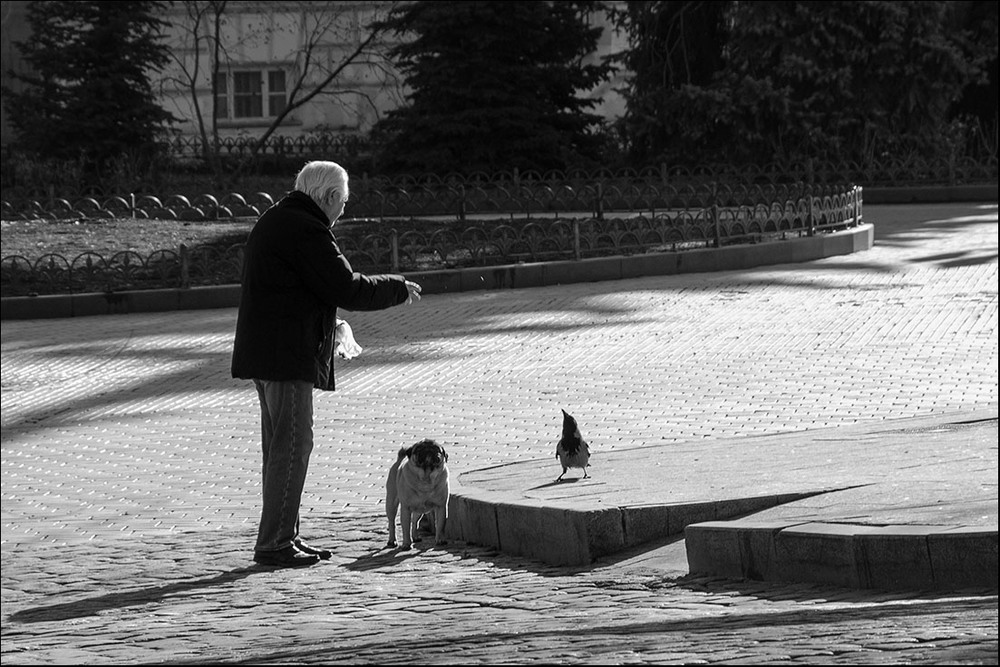 Фотографія Про пожилого джентльмена с собачкой и ворону.. / Дмитрий Домбровский / photographers.ua