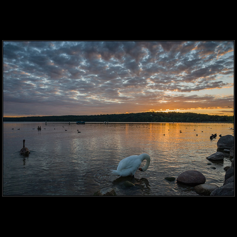 Фотографія Озеро TollenseSee (Германия) / Дмитрий Домбровский / photographers.ua