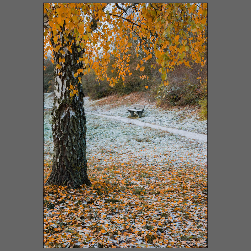 Фотографія Первый снег.. / Дмитрий Домбровский / photographers.ua