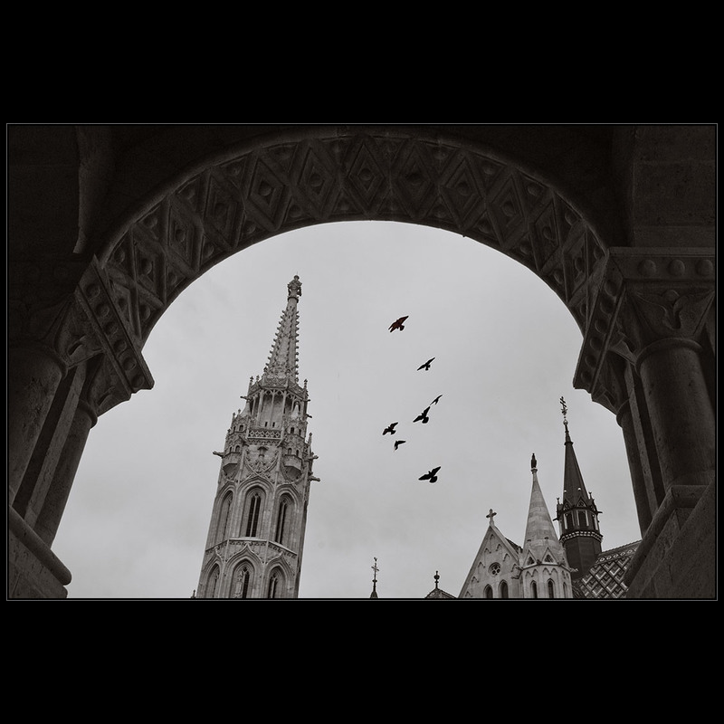 Фотографія Будапешт. Церковь Св. Матьяша / Дмитрий Домбровский / photographers.ua