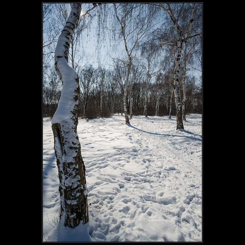 Фотографія Мороз и солнце -...)) / Дмитрий Домбровский / photographers.ua