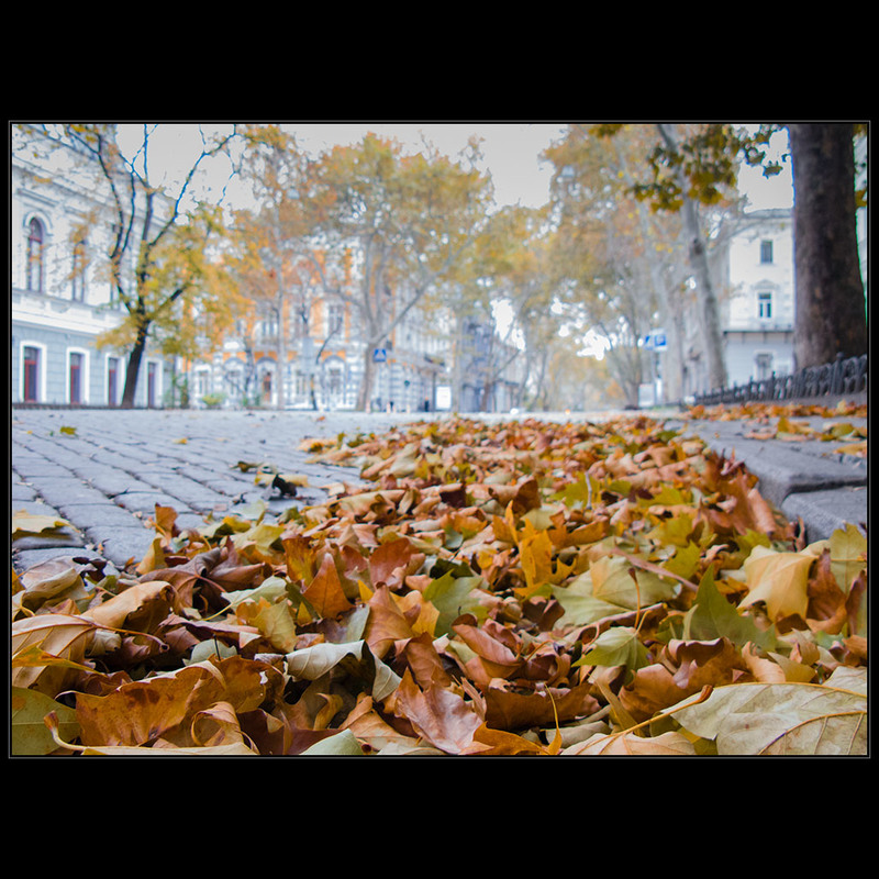 Фотографія Одесская осень / Дмитрий Домбровский / photographers.ua