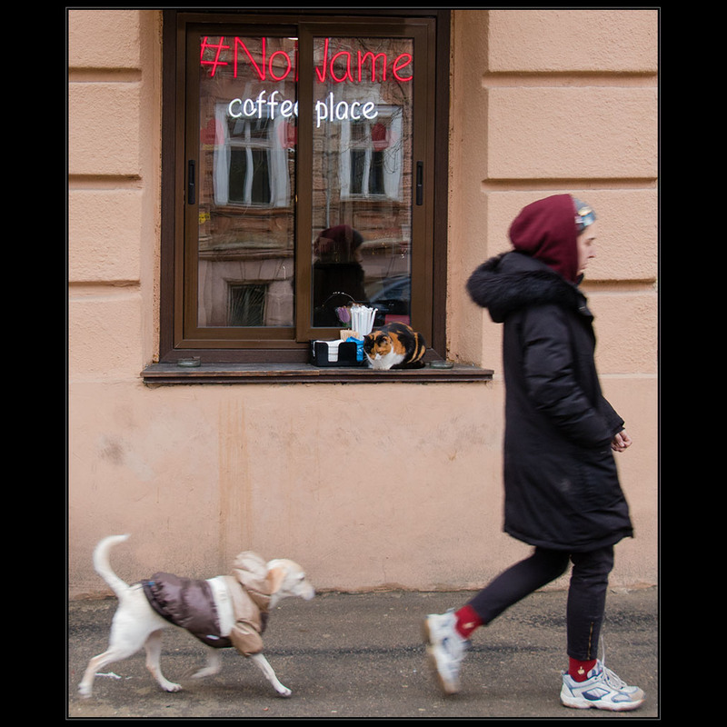 Фотографія «Чай, собака, Пастернак; Кофе, кошка, Мандельштам» / Дмитрий Домбровский / photographers.ua